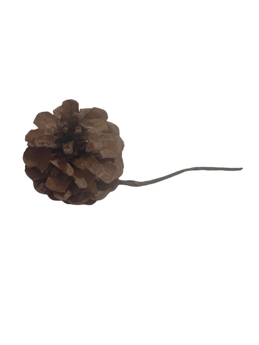 Natural Brown Pinecones for Garland Party Wedding Decor Christmas Craft Supply